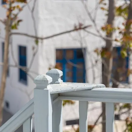 公寓 Tyrovoli Mykonos Town